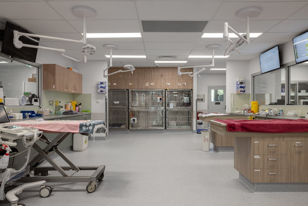 Animal Referral Emergency Centre medical fitout photo 9