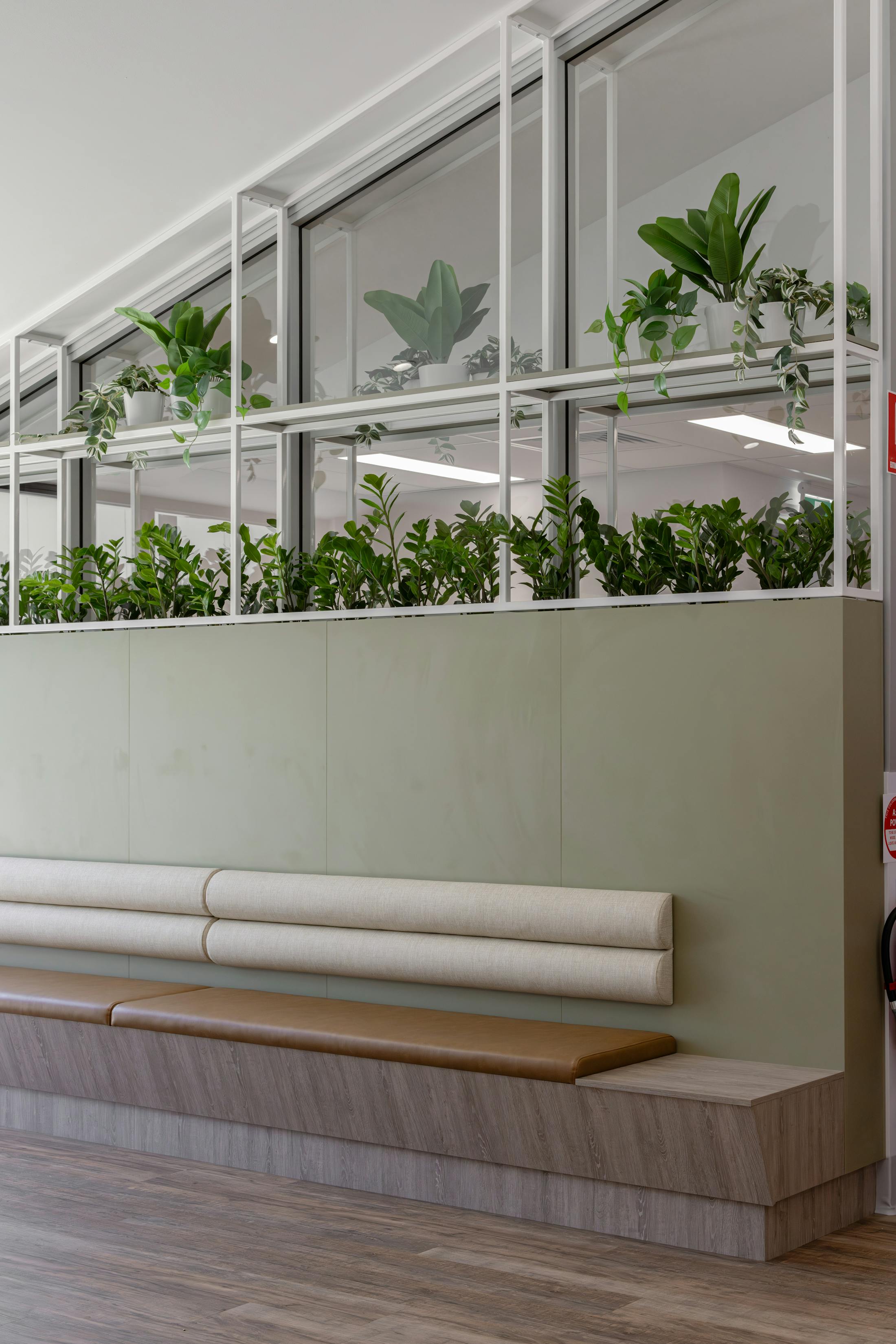 Animal Referral Emergency Centre medical fitout photo 3