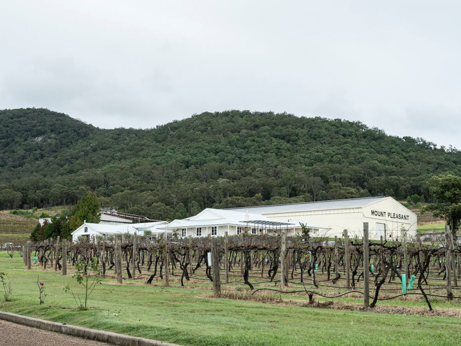 Mount Pleasant Winery hospitality fitout photo 7